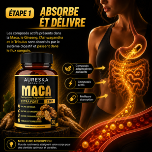 Absorbe et diffuse